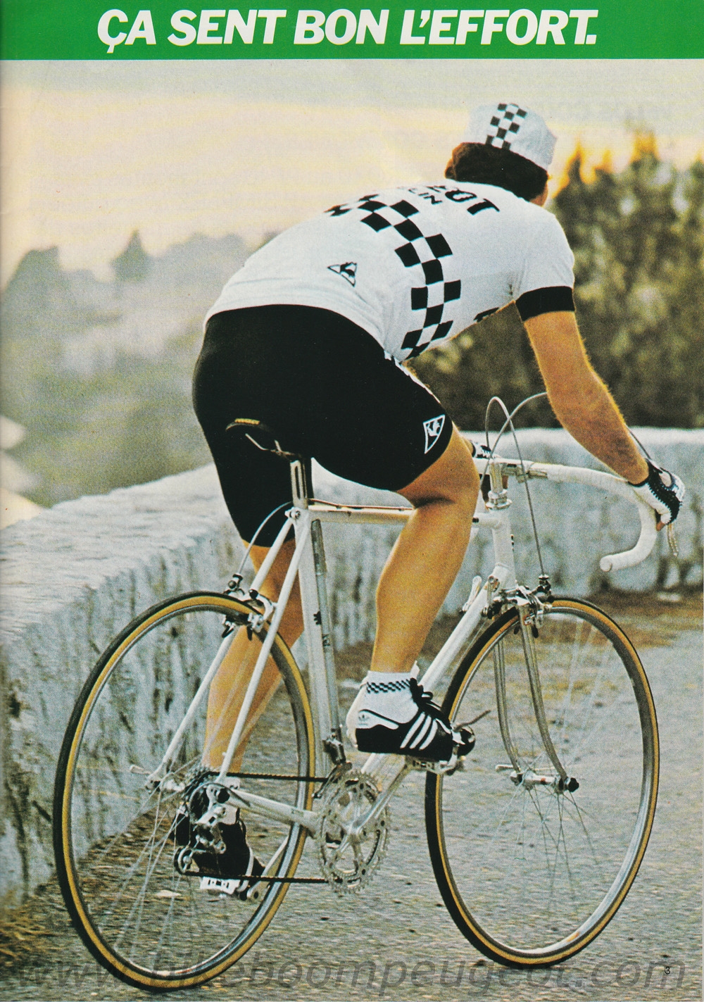 Vélo Vintage Peugeot Pfn10s – Centenaire 1982, NOS, Pièce De Collection Française